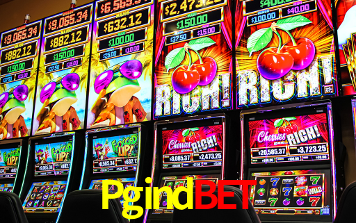 Interface Premium Pgindbet